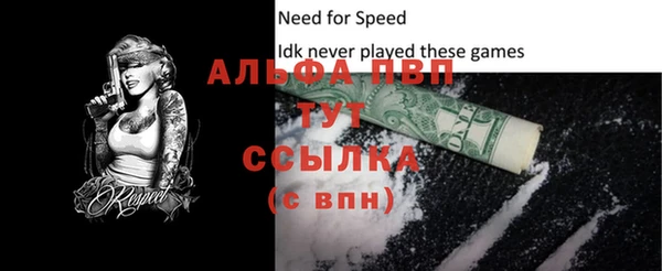 Альфа ПВП Бородино