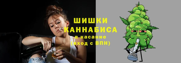 Альфа ПВП Бородино