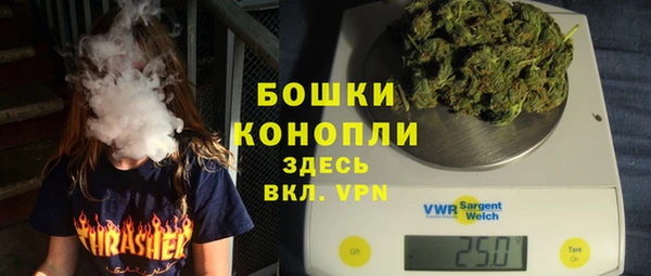 Альфа ПВП Бородино